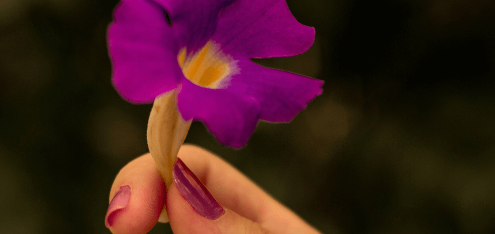Sabrina Santana terapeuta floral ThetaHealing Massagem Biodinâmica